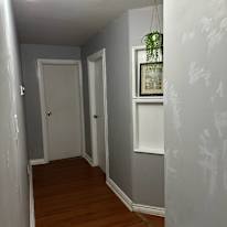 Photo of Brick on Brick's room