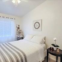 Photo of M's room