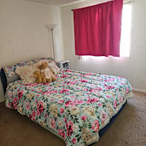 Photo of Danielle J Hiltermann's room