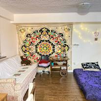 Photo of Katzy's room