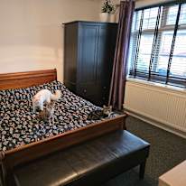 Photo of Robert's room
