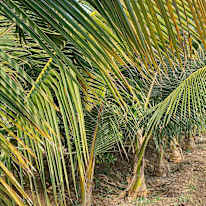 Photo of Basavaraj's room