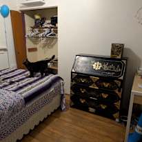Photo of Michelle A Bradshaw's room