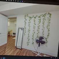 Photo of gurpreet's room