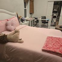 Photo of Pat's room