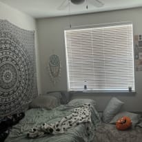 Photo of Samantha Meeks's room
