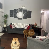 Photo of Camilo's room