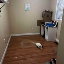 Photo of Elizabeth Blackburn's room