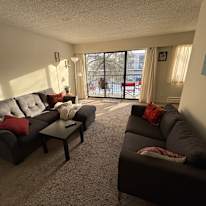 Photo of Mobina Ghanbarian's room