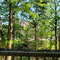 Photo of Lauren's room