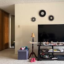 Photo of Sepideh Damercheli's room