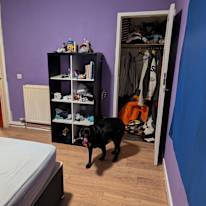 Photo of Jasper's room