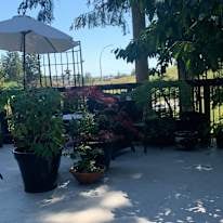 Photo of Jenn's room