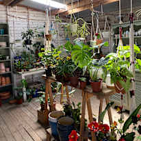 Photo of Paulie's room