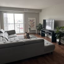 Photo of Vincent's room