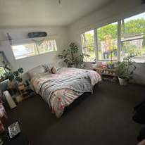 Photo of Indi's room