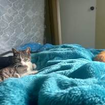 Photo of Rosemary's room