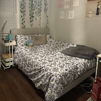Photo of Zoe Reuter's room
