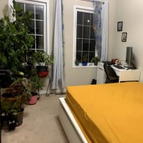 Photo of Preet's room