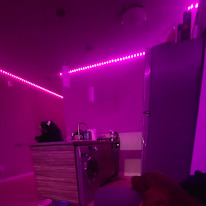 Photo of Tihon's room