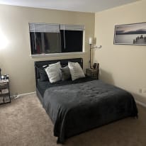 Albany Rooms For Rent
