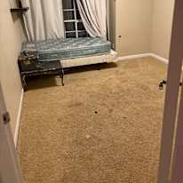 Shania Oldaker's room