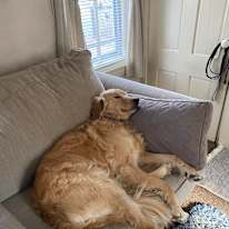 Photo of Lisa Nelson's room