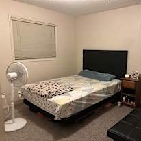 Photo of Amandeep kaur's room