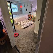 Photo of Alex's room
