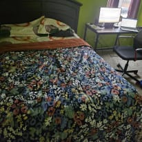 Photo of Alassane's room