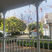Photo of Stacey's room