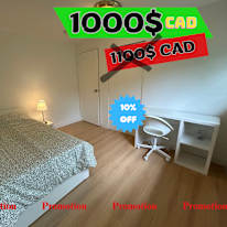 Photo of Shirin's room