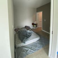 Photo of Domo's room