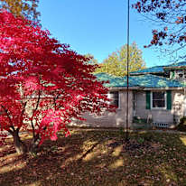 Photo of Andrew Hwang's room
