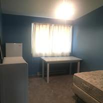 Photo of Jeff Windrim's room