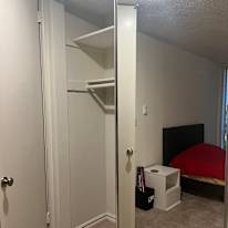 Photo of Zub's room