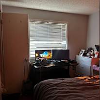 Photo of Amy's room