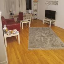 Photo of MOMO's room