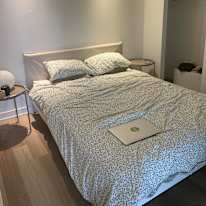 Photo of Anya & Bruce's room