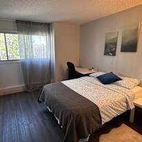Photo of Rabia's room