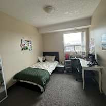 Photo of Zinnia's room