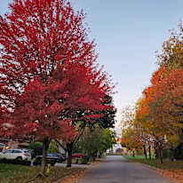 Photo of KEVIN's room