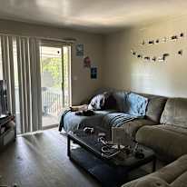 Photo of Meadow's room