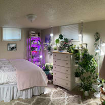 Photo of Zaina's room