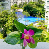Photo of Condo Asia's room