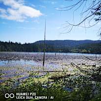 Photo of Marie's room