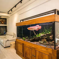 Photo of FRANCIS LIM's room