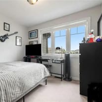 Photo of Professional female and a cat's room