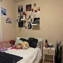 Photo of Adriana's room
