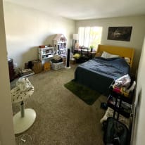 Photo of Alexa's room